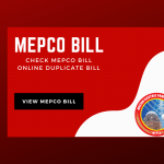 MEPCO Bill